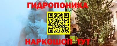 мяу мяу мука Вышний Волочёк